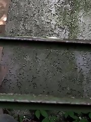 15 pictures - Gorgeous babe is desperate to pee outside