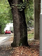15 pictures - Chubby girl pulls up her dress to piss outside
