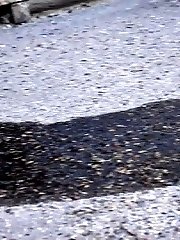 15 pictures - Hot blonde sprays golden piss onto a cobbled path