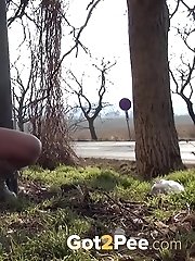15 pictures - Brunette girl is desperate to piss near a road