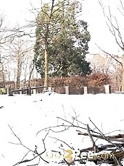 15 pictures - Cute blonde pisses in the snow outside